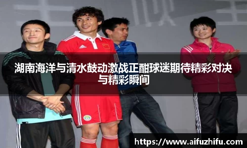 湖南海洋与清水鼓动激战正酣球迷期待精彩对决与精彩瞬间